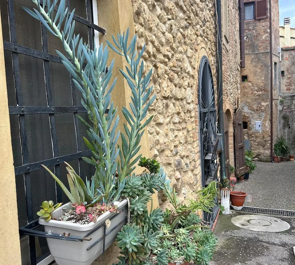 Casa Nelly - Accommodation In The Heart Of Bibbona!